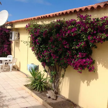 Claire كالاو سالفاجي