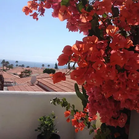 Claire كالاو سالفاجي