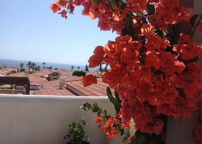 Claire Callao Salvaje